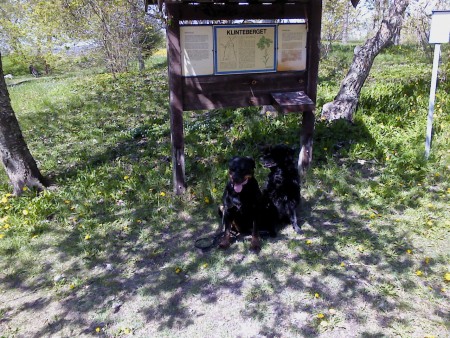 Telluz med kompis Azca